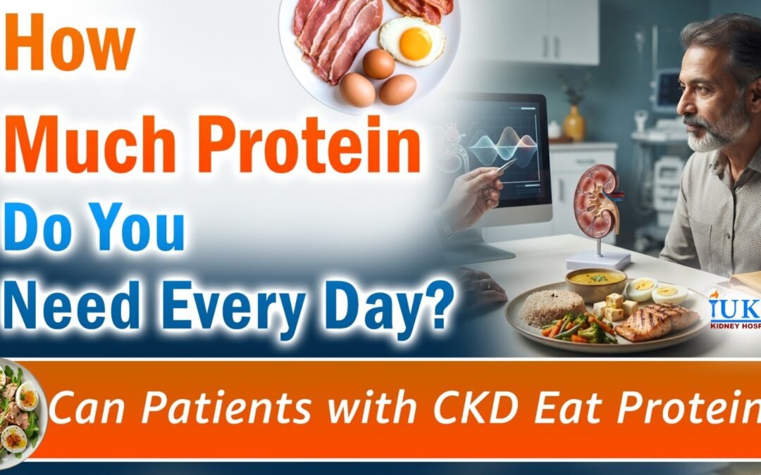 How Much Protein Do You Need Every Day ? Can Patients with CKD Eat Protein ?