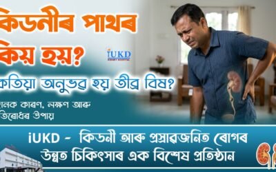 কিডনীৰ পাথৰ কিয় হয় ? কেতিয়া অনুভৱ হয় তীব্ৰ বিষ ? জানক কাৰণ, লক্ষণ আৰু প্ৰতিৰোধৰ উপায়